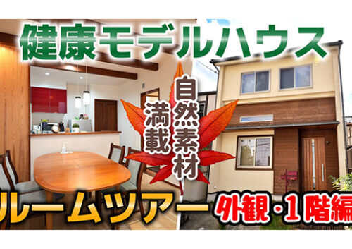 【自然素材】健康モデルハウスを動画でご紹介【漆喰】